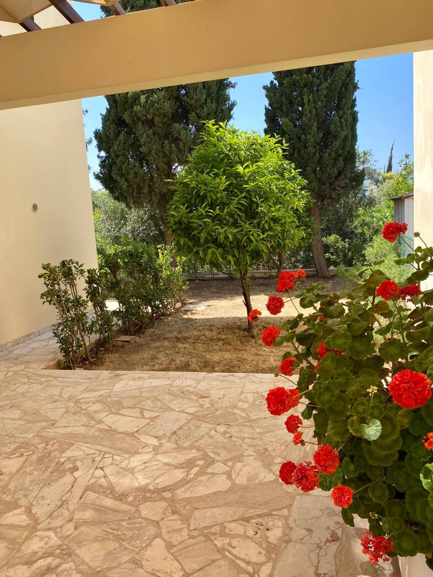 Villa Lorena Protaras Dış mekan fotoğraf